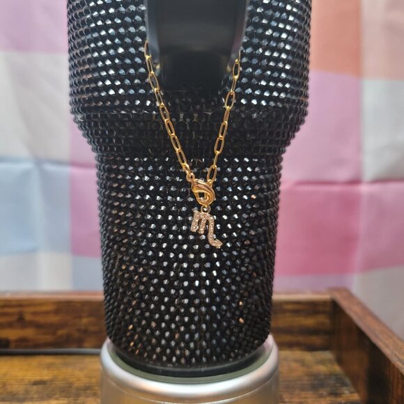 Scorpio Zodiac Tumbler Charm - Picture 2 of 4